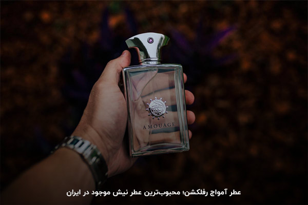 آموج رفلکشن، عطر نیش مردانه محبوب در ایران